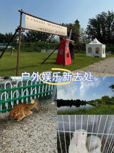 露营地小动物会和谁互换_随机伙伴，可购土地，动物情绪需关注！