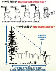 野外生存必备技能_野外生存必备技能，关键时刻能救命！