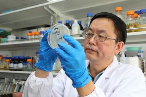 瘫痪潜水员女友督促康复，一年多奋斗实现新突破