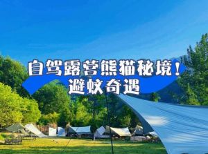 露营奇遇全文阅读_灯光与椅子如何提升冒险体验