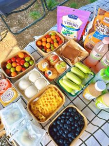 适合学生露营的野餐种类_简单营养方便带，美食零食必备清单