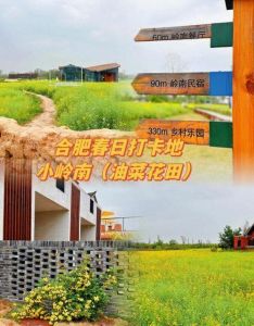 小岭南露营地_亲子自然体验，近城喧嚣，设施齐全