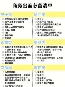 出差两天必备物品清单_证件机票放专用袋，轻便行李安全，充电宝不能少！