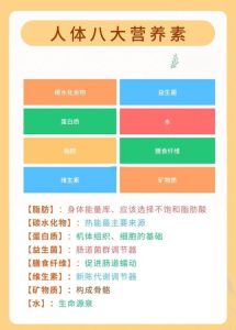 人体八种必备氨基酸_维持健康，赖氨酸助生长，多样食物要吃够！