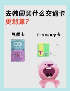 长期在韩国生活必备卡_银联公交电话卡助融入