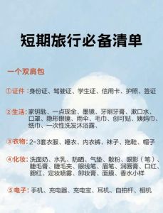 短期出差三天必备物品清单_分袋精简，专包放电子，文件夹放文件，轻松出行不遗漏！