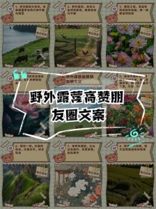 露营一句话发朋友圈_星空露营，篝火美食，远离喧嚣，与朋友家人共享自然时光