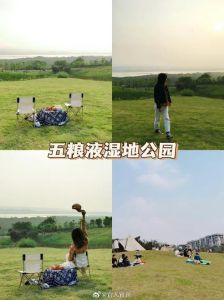宜宾周边露营地_亲近自然，吃喝玩乐一整天！