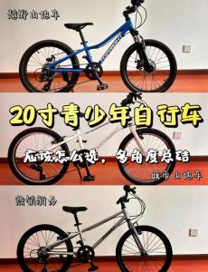 初学骑行买哪种自行车好_山地公路城市折叠车怎么挑？