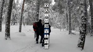 森林暴雪露营攻略_暴雪露营选专业帐篷，安全选址避大树，遵守规定保安全