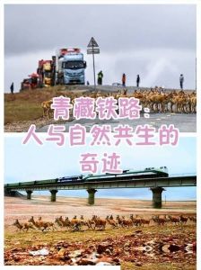 勒布朗拒跳伞，谨慎保护健康，非胆小是智慧