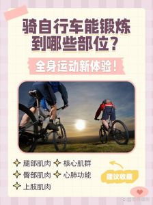 骑自行是有氧运动的吗_骑行有氧无氧看强度，护膝健心需注意